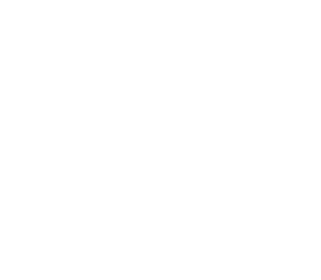 此処は、世界一の歓楽街
新宿歌舞伎町のど真ん中
時代の流れを巻き戻す
新宿センター街「思い出の抜け道」
此処に、真っ赤な灯りを灯す
その名も
呑み喰い赤提灯横町
【歌舞伎町レッドのれん街】